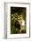 Nymphs and Satyr-William Adolphe Bouguereau-Framed Art Print