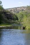 Gila River-nytumbleweeds-Framed Photographic Print