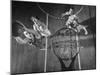Nyu Basketball Team Playing in Game-Ralph Morse-Mounted Photographic Print