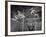 Nyu Basketball Team Playing in Game-Ralph Morse-Framed Photographic Print