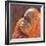 O is for Orangutan-Rita Kirkman-Framed Art Print