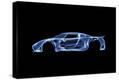 Stretched Canvas Print