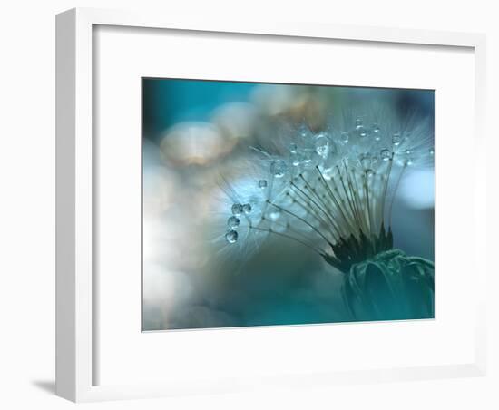 ~o~O~o~-Juliana Nan-Framed Photographic Print