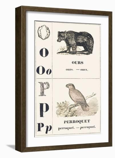 O P: Bear — Parrot, 1850 (Engraving)-Louis Simon (1810-1870) Lassalle-Framed Giclee Print