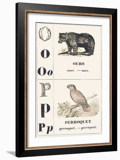 O P: Bear — Parrot, 1850 (Engraving)-Louis Simon (1810-1870) Lassalle-Framed Giclee Print