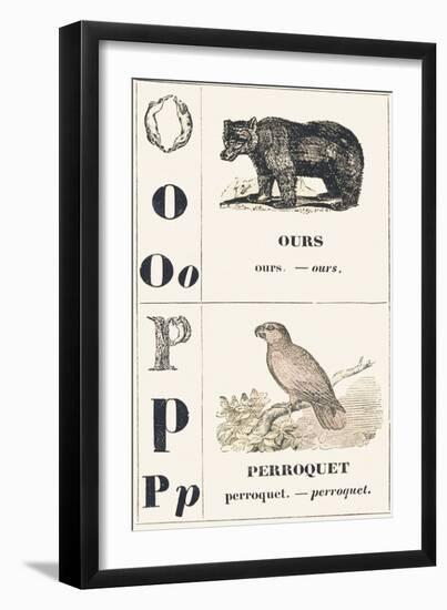 O P: Bear — Parrot, 1850 (Engraving)-Louis Simon (1810-1870) Lassalle-Framed Giclee Print