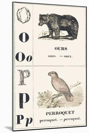 O P: Bear — Parrot, 1850 (Engraving)-Louis Simon (1810-1870) Lassalle-Mounted Giclee Print