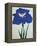 O-Sho-Kun Book of a Blue Iris-Stapleton Collection-Framed Premier Image Canvas