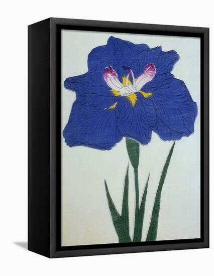 O-Sho-Kun Book of a Blue Iris-Stapleton Collection-Framed Premier Image Canvas