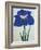 O-Sho-Kun Book of a Blue Iris-Stapleton Collection-Framed Giclee Print