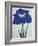 O-Sho-Kun Book of a Blue Iris-Stapleton Collection-Framed Giclee Print