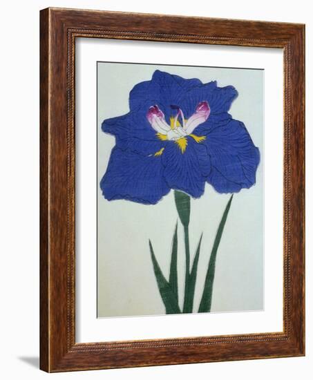 O-Sho-Kun Book of a Blue Iris-Stapleton Collection-Framed Giclee Print