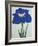 O-Sho-Kun Book of a Blue Iris-Stapleton Collection-Framed Giclee Print