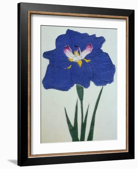 O-Sho-Kun Book of a Blue Iris-Stapleton Collection-Framed Giclee Print