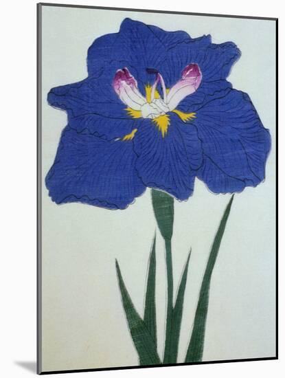 O-Sho-Kun Book of a Blue Iris-Stapleton Collection-Mounted Giclee Print