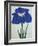 O-Sho-Kun Book of a Blue Iris-Stapleton Collection-Framed Giclee Print