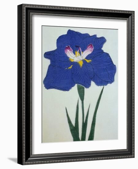 O-Sho-Kun Book of a Blue Iris-Stapleton Collection-Framed Giclee Print