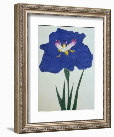 O-Sho-Kun Book of a Blue Iris-Stapleton Collection-Framed Giclee Print