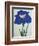 O-Sho-Kun Book of a Blue Iris-Stapleton Collection-Framed Giclee Print