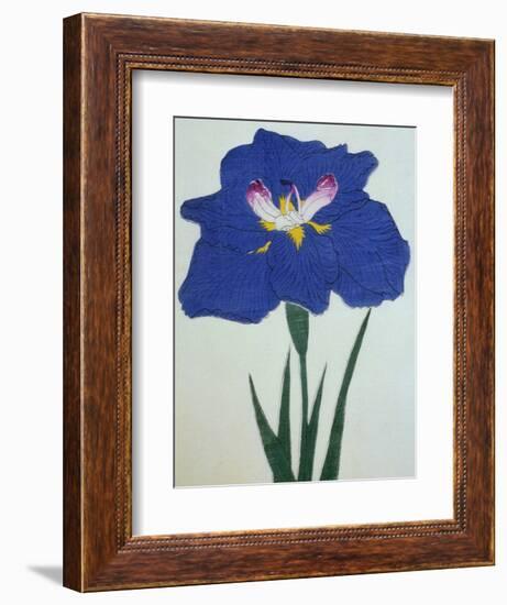 O-Sho-Kun Book of a Blue Iris-Stapleton Collection-Framed Giclee Print