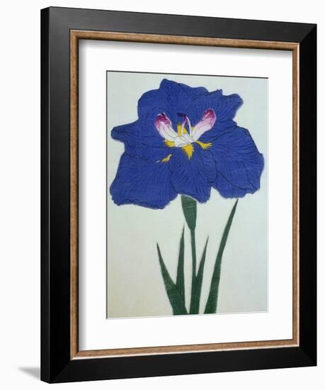 O-Sho-Kun Book of a Blue Iris-Stapleton Collection-Framed Giclee Print