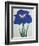 O-Sho-Kun Book of a Blue Iris-Stapleton Collection-Framed Giclee Print