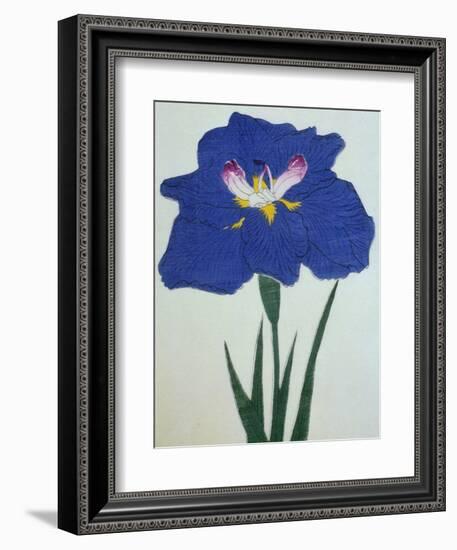 O-Sho-Kun Book of a Blue Iris-Stapleton Collection-Framed Giclee Print