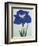 O-Sho-Kun Book of a Blue Iris-Stapleton Collection-Framed Giclee Print