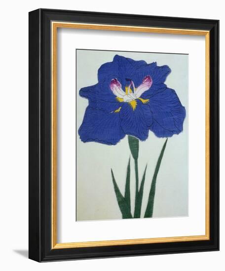 O-Sho-Kun Book of a Blue Iris-Stapleton Collection-Framed Giclee Print