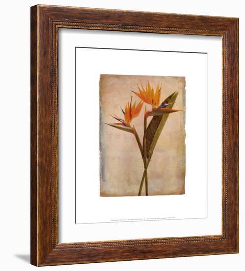 Oahu-Linda Maron-Framed Art Print