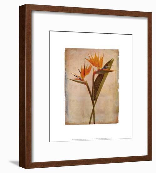 Oahu-Linda Maron-Framed Art Print