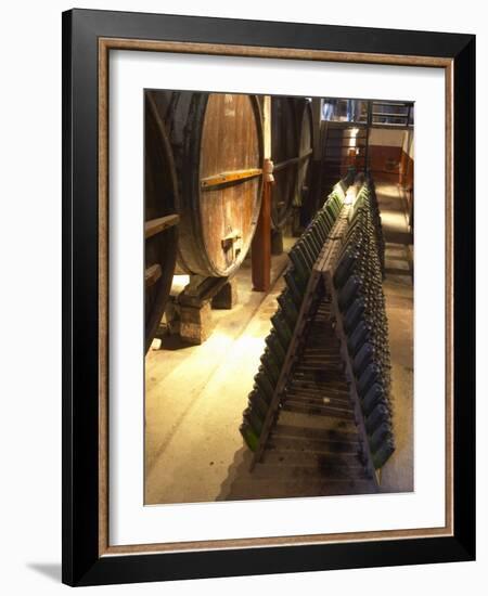 Oak Aging Vats and Pupitres for Fermenting Sparkling Wine, Bodega Pisano Winery, Progreso, Uruguay-Per Karlsson-Framed Photographic Print