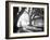 Oak Alley, Light and Shadows-William Guion-Framed Art Print