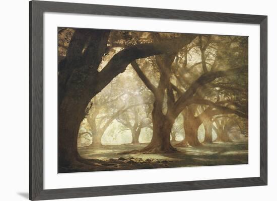 Oak Alley Morning Light-William Guion-Framed Art Print