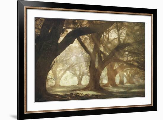 Oak Alley Morning Light-William Guion-Framed Art Print