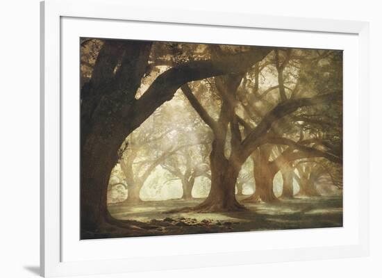 Oak Alley Morning Light-William Guion-Framed Art Print