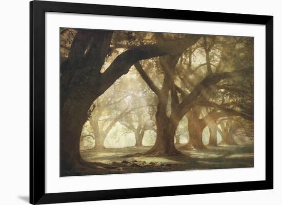 Oak Alley Morning Light-William Guion-Framed Art Print