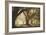 Oak Alley Morning Light-William Guion-Framed Giclee Print