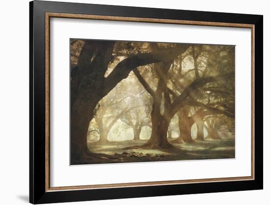 Oak Alley Morning Light-William Guion-Framed Giclee Print