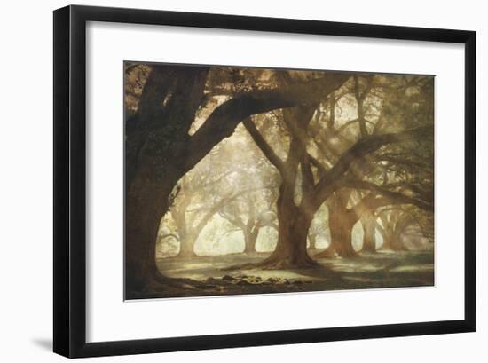 Oak Alley Morning Light-William Guion-Framed Giclee Print