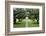 Oak Alley Plantation, Alley of Oaks, Virginia Live Oaks, Louisiana, USA-Jamie & Judy Wild-Framed Photographic Print