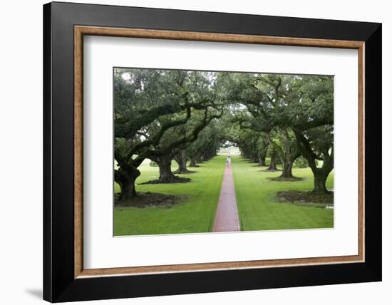 Oak Alley Plantation, Alley of Oaks, Virginia Live Oaks, Louisiana, USA-Jamie & Judy Wild-Framed Photographic Print