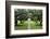 Oak Alley Plantation, Alley of Oaks, Virginia Live Oaks, Louisiana, USA-Jamie & Judy Wild-Framed Photographic Print