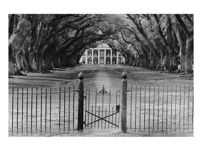 Louisiana Black and White Photography Wall Art: Prints, Paintings & Posters