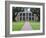 Oak Alley Plantation, Vacherie, St. James Parish, Louisiana, USA-Rob Tilley-Framed Photographic Print