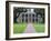 Oak Alley Plantation, Vacherie, St. James Parish, Louisiana, USA-Rob Tilley-Framed Photographic Print