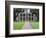 Oak Alley Plantation, Vacherie, St. James Parish, Louisiana, USA-Rob Tilley-Framed Photographic Print