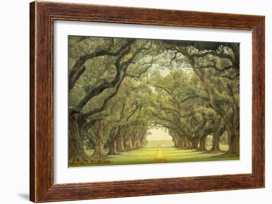 Oak Alley, view from veranda-William Guion-Framed Art Print