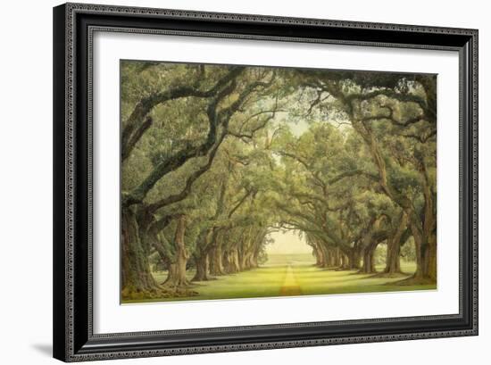 Oak Alley, view from veranda-William Guion-Framed Art Print