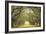 Oak Alley, view from veranda-William Guion-Framed Art Print